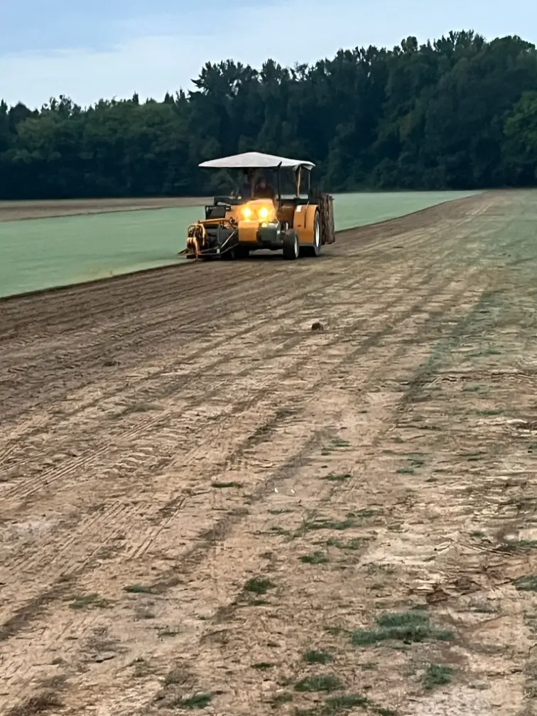 Dirt